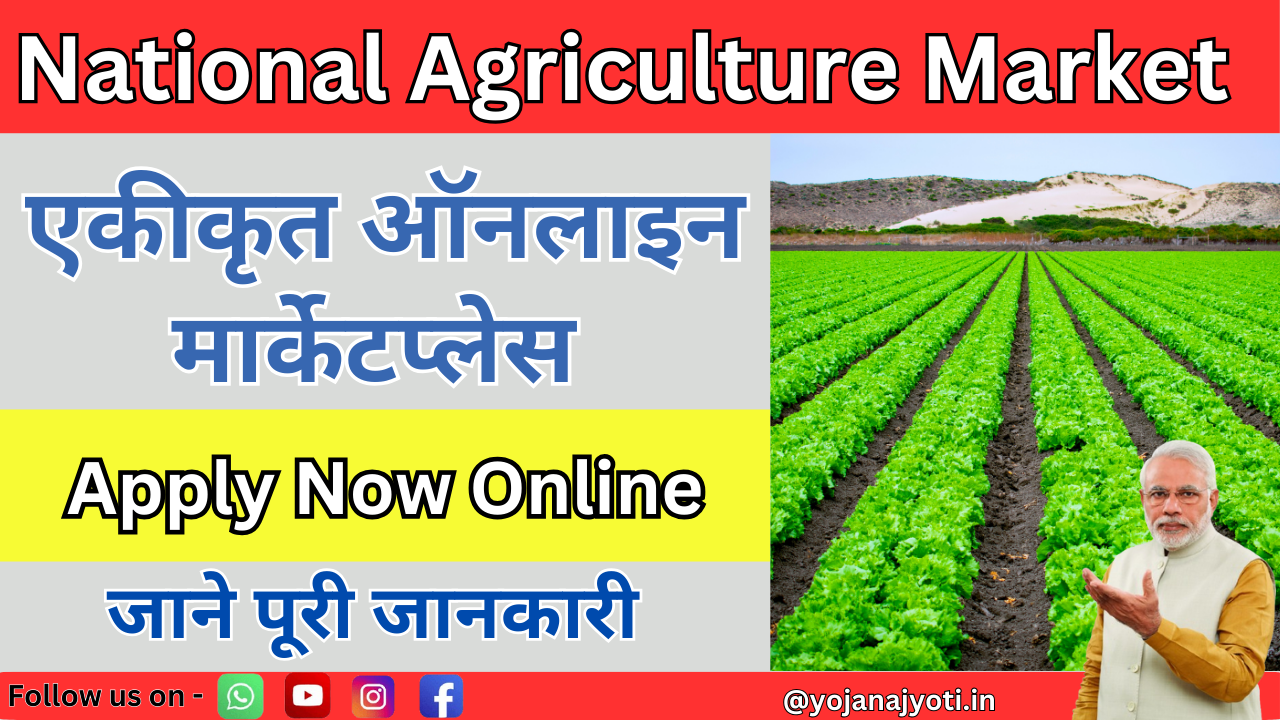 National Agriculture Market